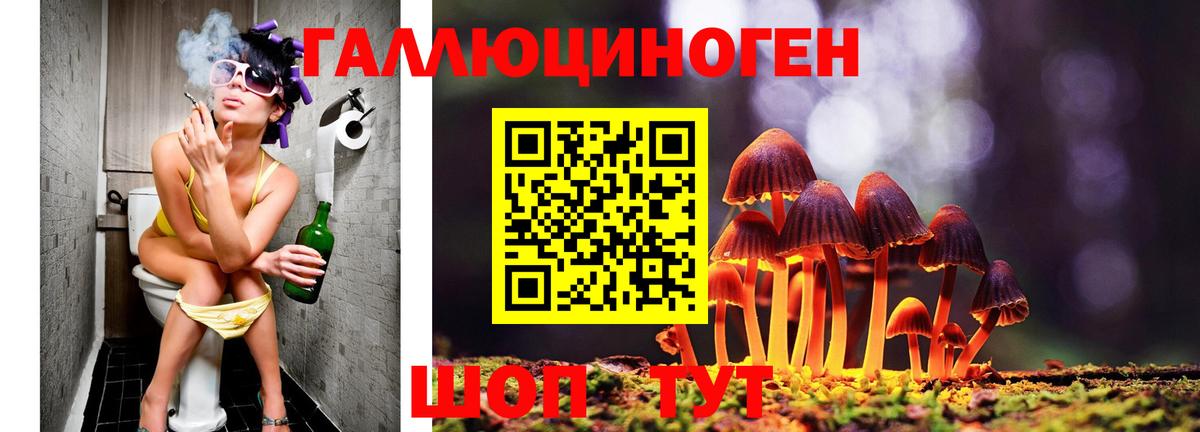 где купить наркоту  Галлюциногенные грибы Magic Shrooms  Вход с VPN  Большой Камень 