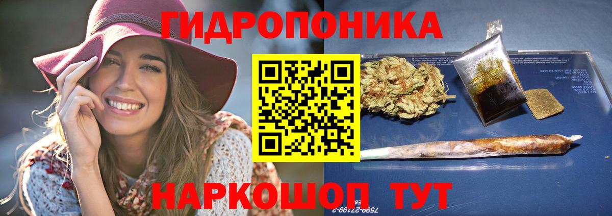 Бошки Шишки тримм  Вход с VPN  Бошки Шишки сатива  Большой Камень  Каннабис индика 